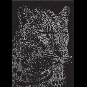 Leo1