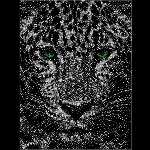 Leo6