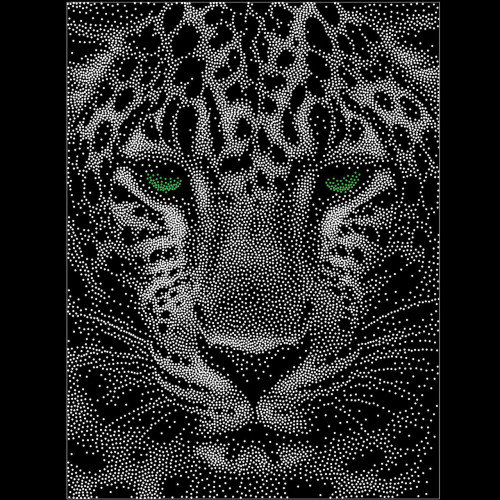 Leo6