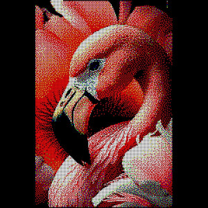 Flam1