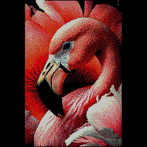 Flam1 Flam1