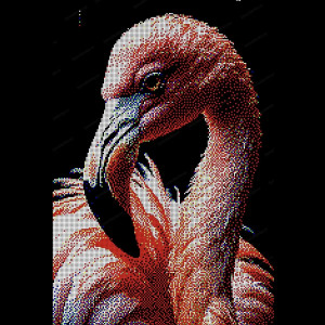 Flam2 Flam2