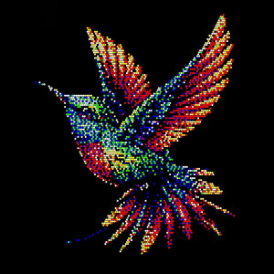 Kolibri Kolibri
